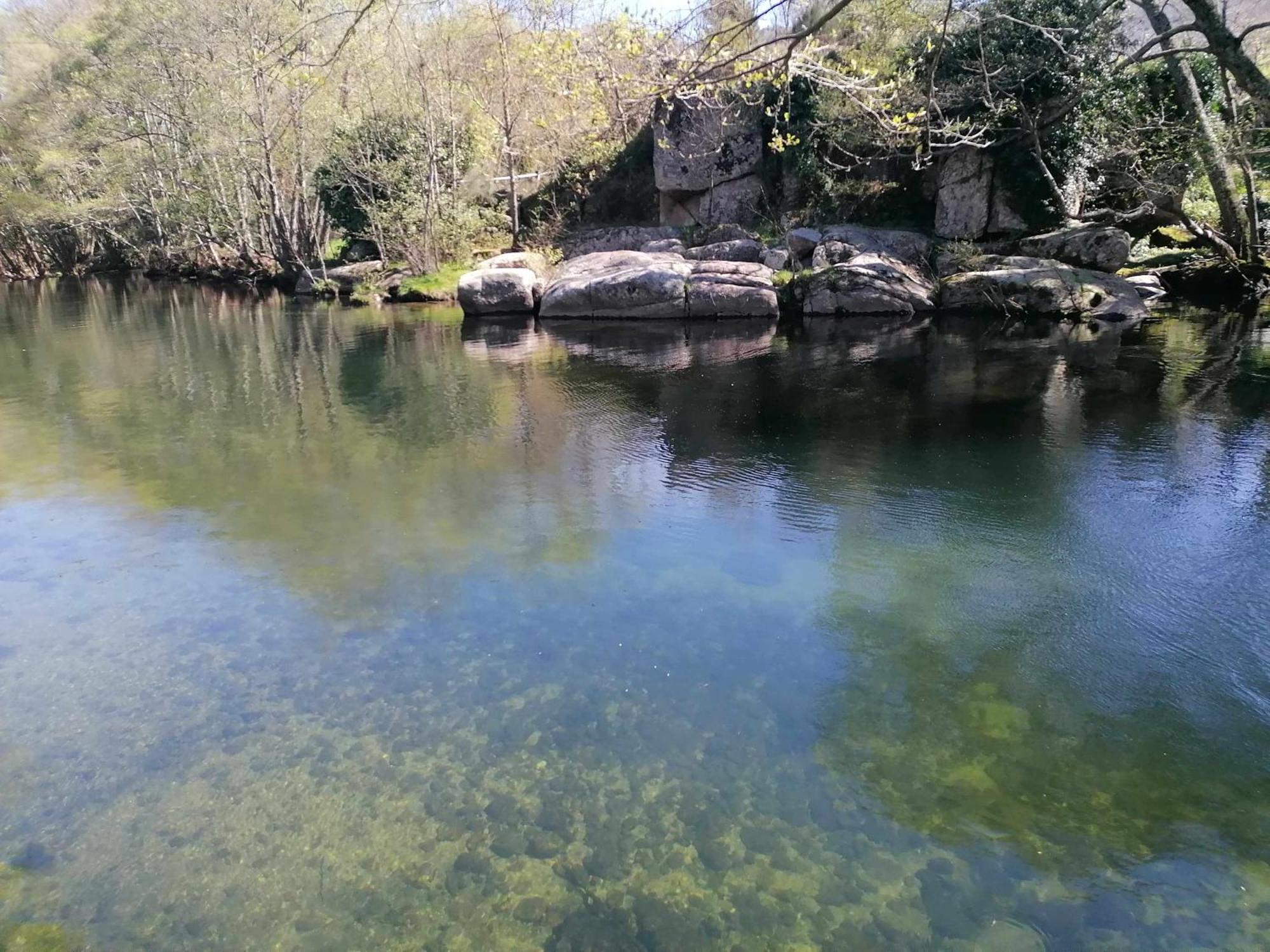 Quinta Do Moinho Turismo De Natureza Aldeia Vicosa ภายนอก รูปภาพ